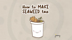 How to make seaweed tea fertiliser for the garden howto-make-seaweed-tea-header